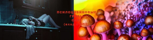 амфетамин Белокуриха