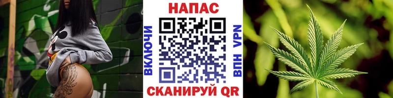 где продают   Пикалёво  Канабис индика 